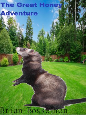cover image of The Great Honey Adventure